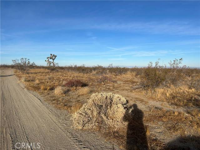 Pinon Hills, CA 92372,0 Dos Palmas