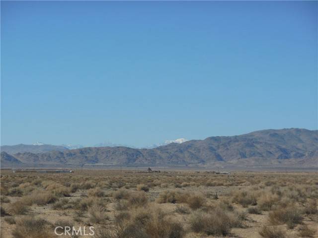 Lucerne Valley, CA 92356,105 Smoke Bush