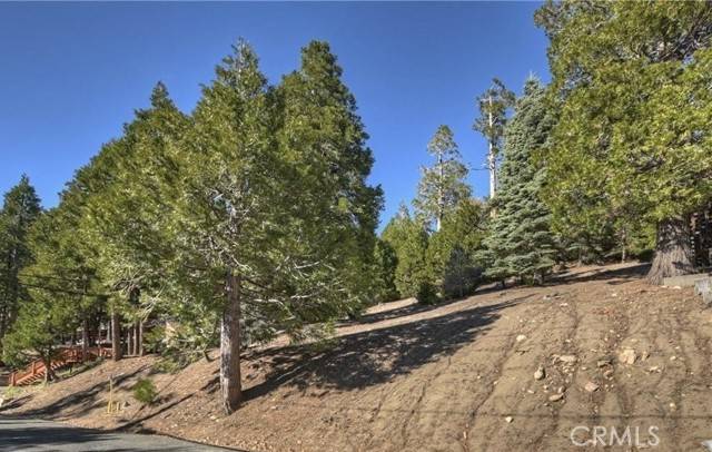 Running Springs, CA 92382,2402 Spring Oak