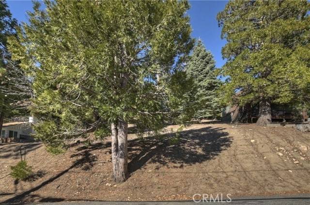 Running Springs, CA 92382,2402 Spring Oak