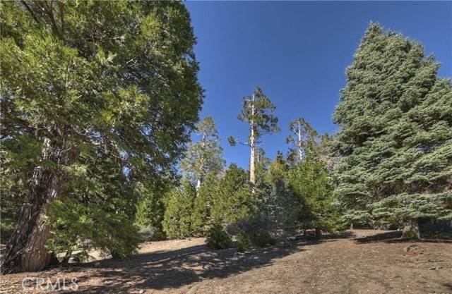 Running Springs, CA 92382,2402 Spring Oak