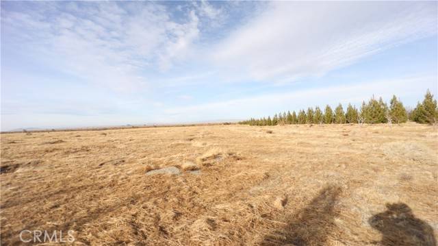 Pinon Hills, CA 92372,3002 Estero Road