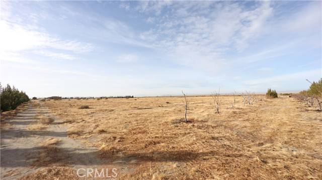 Pinon Hills, CA 92372,3002 Estero