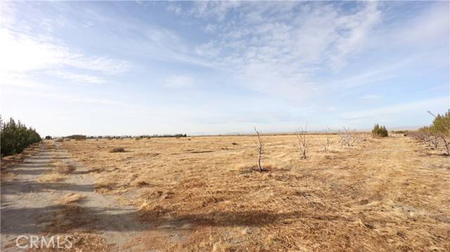 Pinon Hills, CA 92372,3002 Estero