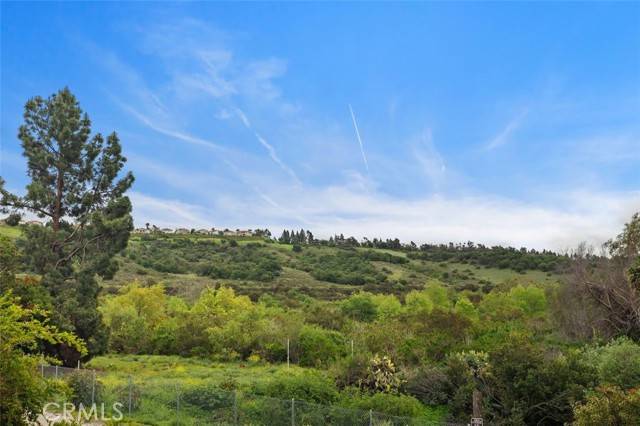 Trabuco Canyon, CA 92679,4 Chisholm Trail