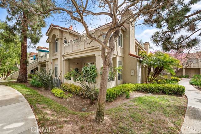 Aliso Viejo, CA 92656,112 Cinnamon Teal