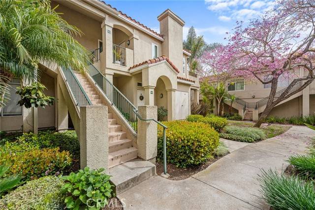 Aliso Viejo, CA 92656,112 Cinnamon Teal