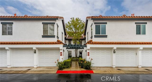 Rancho Santa Margarita, CA 92688,34 Dianthus