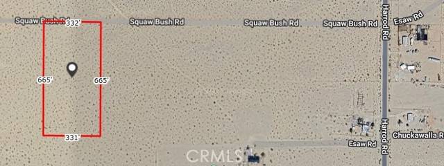 Lucerne Valley, CA 92356,0 Squaw Bush