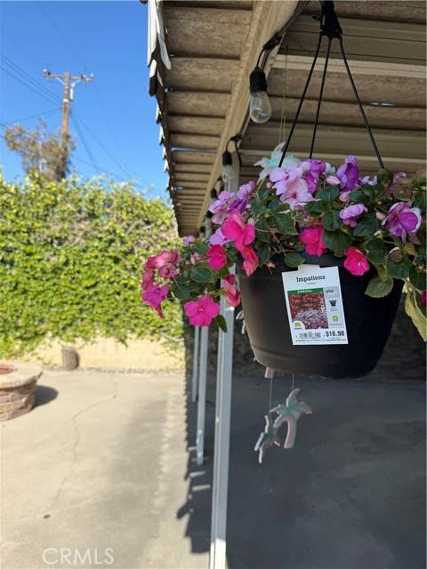 Yorba Linda, CA 92886,4561 Mimosa Drive