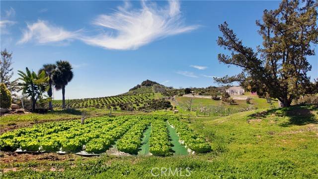 Bonsall, CA 92003,31418 Calle De Talar