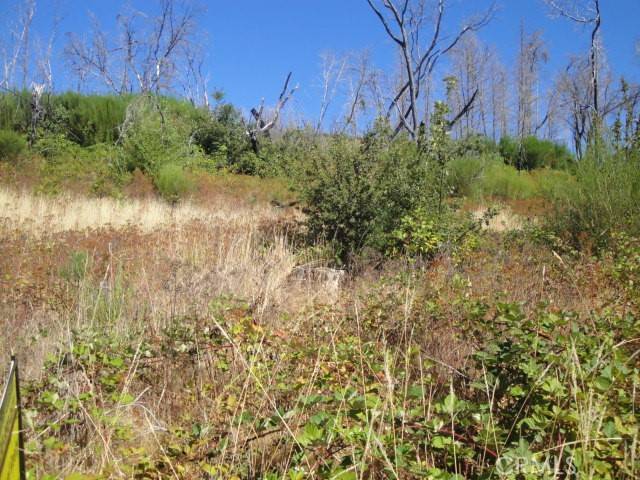 Berry Creek, CA 95916,0 Meadow