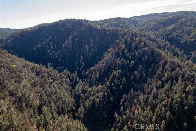 Berry Creek, CA 95966,0 Berry Creek Rd