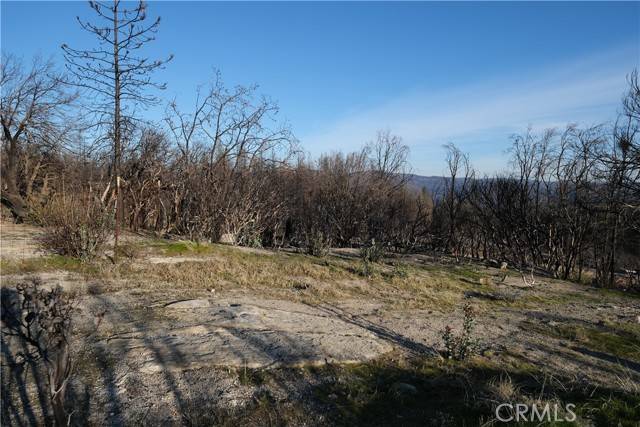 Berry Creek, CA 95916,2541 Bald Rock