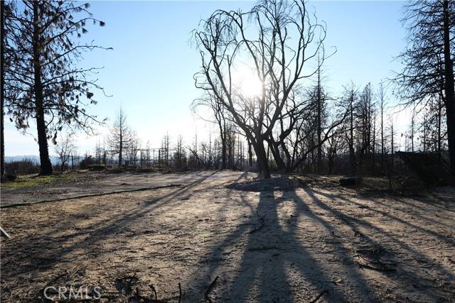 Berry Creek, CA 95916,2541 Bald Rock