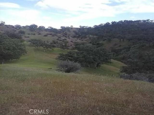 Red Bluff, CA 96080,6835 South Fork