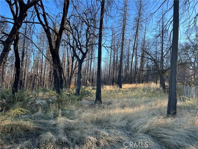 Berry Creek, CA 95916,842 Bald Rock