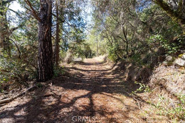 Bangor, CA 95914,17109 Natchez Creek