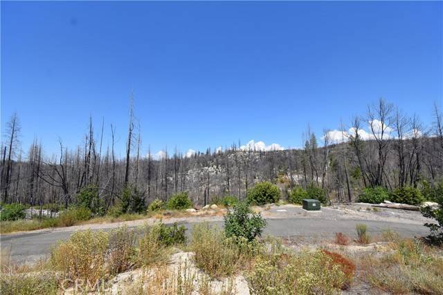 Berry Creek, CA 95916,0 Madrone