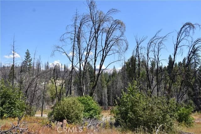 Berry Creek, CA 95916,0 Madrone