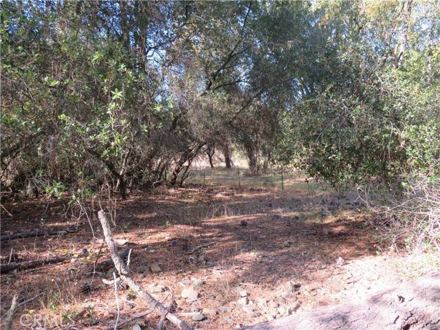 Oroville, CA 95966,3465 Foothill