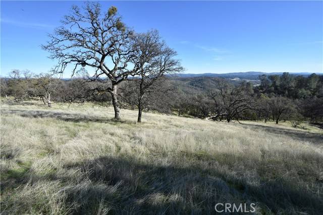 Oroville, CA 95965,1193 Oregon Gulch