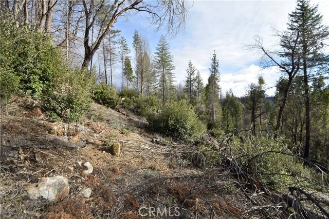 Berry Creek, CA 95916,0 Lake Madrone