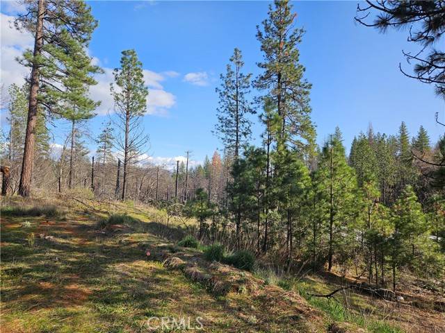 Berry Creek, CA 95916,0 Feather Ridge