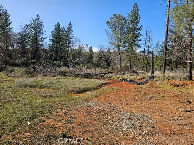 Berry Creek, CA 95916,0 Feather Ridge