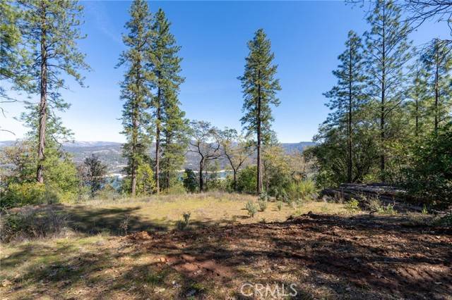 Oroville, CA 95966,0 Lake Haven