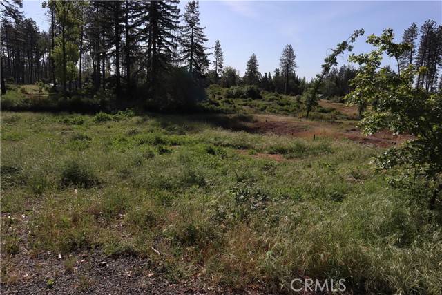 Paradise, CA 95969,6292 Oak