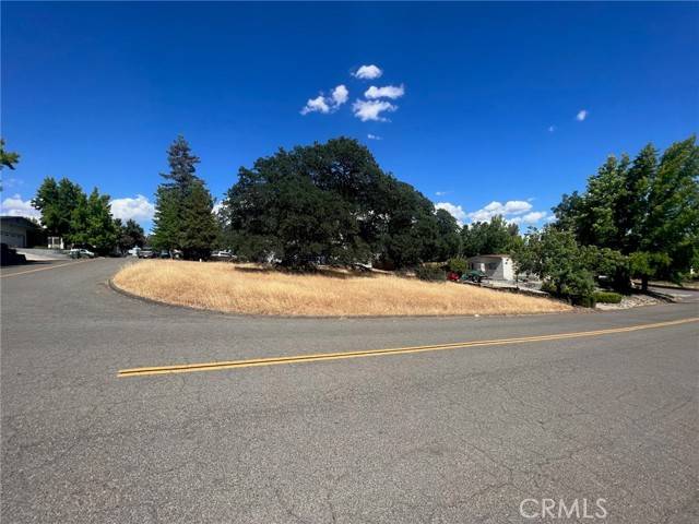 Oroville, CA 95966,0 Treasure Hill