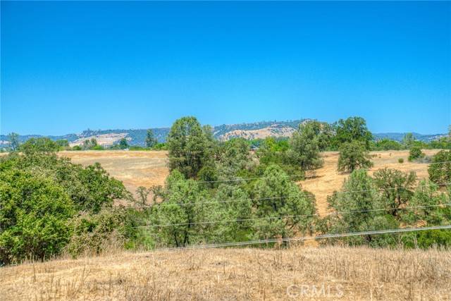 Oroville, CA 95966,0 Olive Hwy