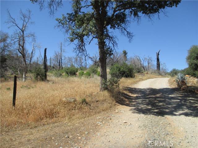 Oroville, CA 95966,0 Nikki Jo