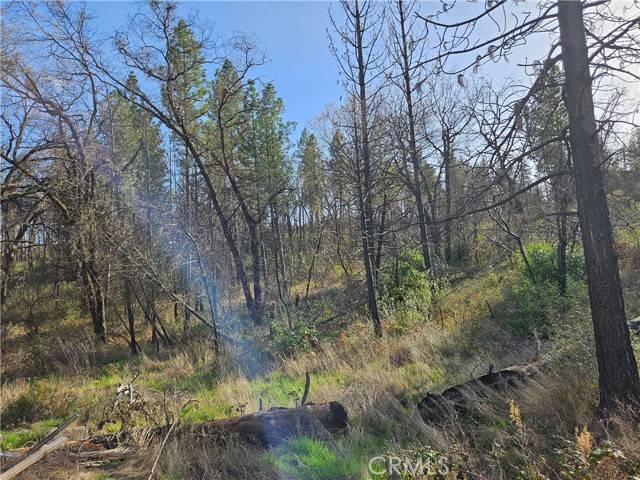 Berry Creek, CA 95916,6 Feather Ridge