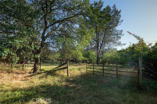 Oroville, CA 95966,0 Pinedale