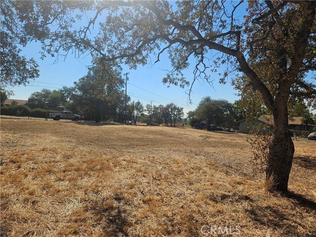 Oroville, CA 95966,2647 Oak Knoll