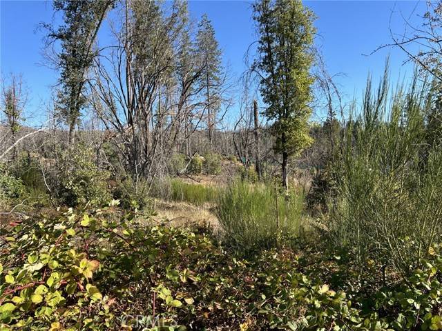 Berry Creek, CA 95916,80 Meadow