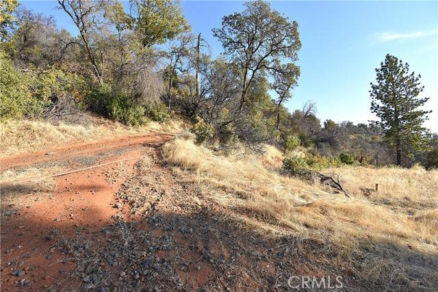 Berry Creek, CA 95966,0 Canyon Creek