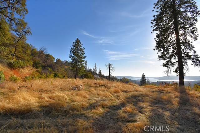 Berry Creek, CA 95966,0 Canyon Creek