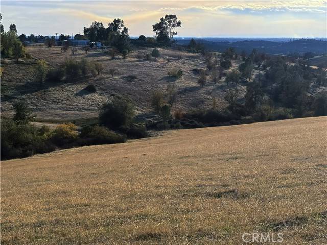 Oroville, CA 95966,0 Alta Airosa