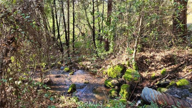 Dobbins, CA 95935,14550 Merriam