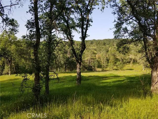 Oroville, CA 95966,0 Bethridge Road