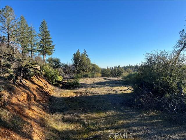 Oroville, CA 95965,3460 Skycrest