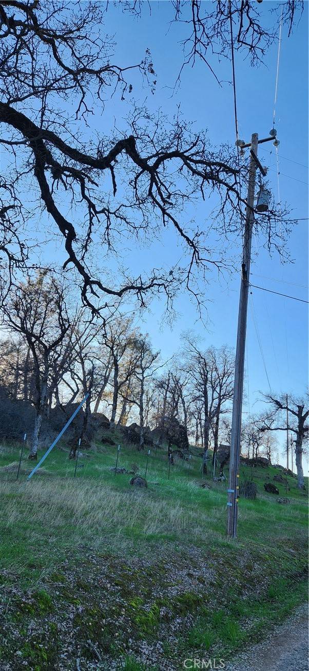 Bangor, CA 95901,0 Sunny Hills