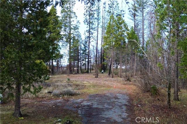 Berry Creek, CA 95916,35 Sugar Pine