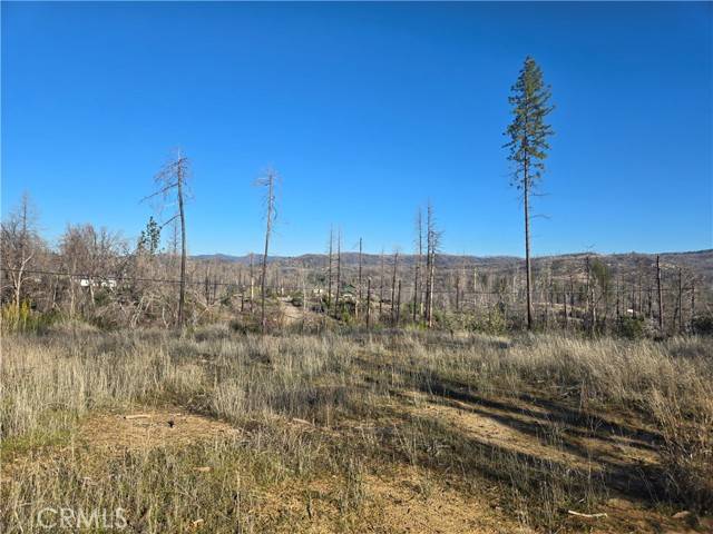 Berry Creek, CA 95916,28 Graystone