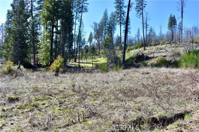 Berry Creek, CA 95916,20 Meadow