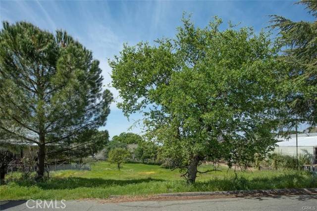 Oroville, CA 95966,517 Silver Leaf
