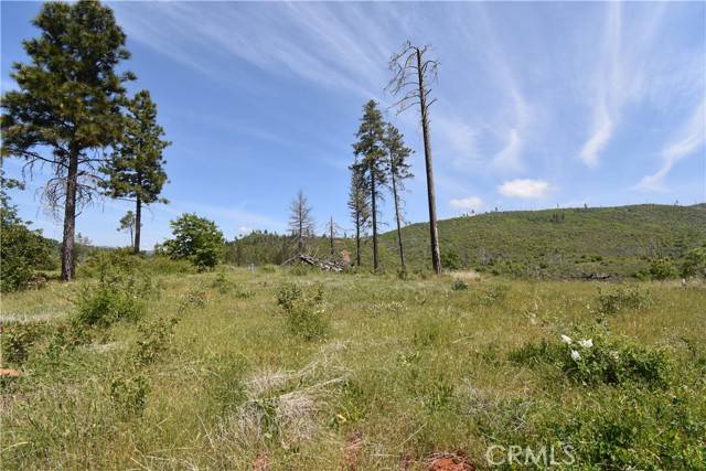 Oroville, CA 95965,0 Stone Mountain